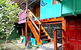Hidden Jungle Beach House