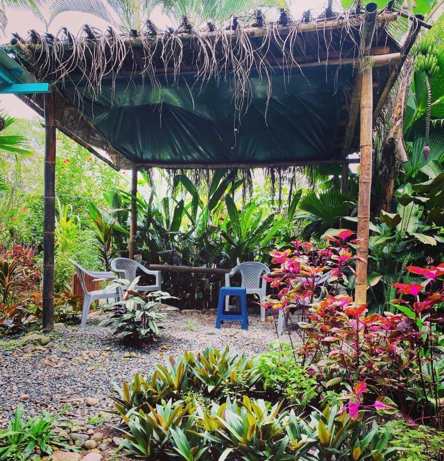 Hidden Jungle Beach House Puerto Viejo de Talamanca Buitenkant foto