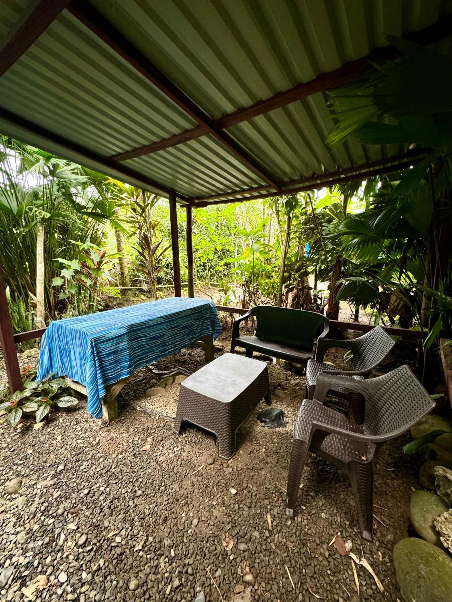 Hidden Jungle Beach House Puerto Viejo de Talamanca Buitenkant foto