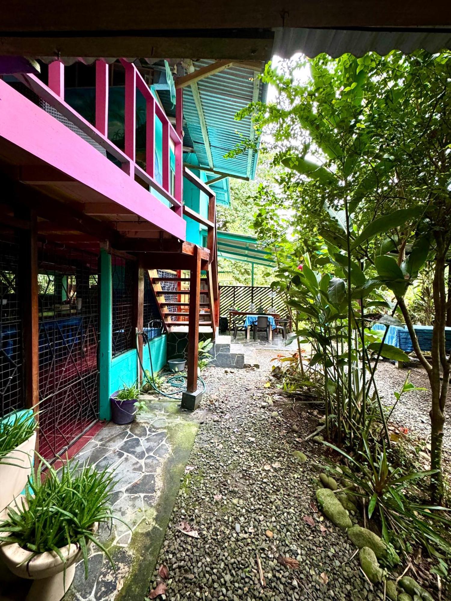 Hidden Jungle Beach House Puerto Viejo de Talamanca Buitenkant foto